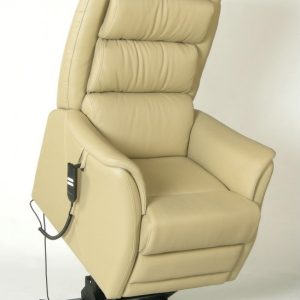 Fauteuil Relax 1 Moteur Avrel